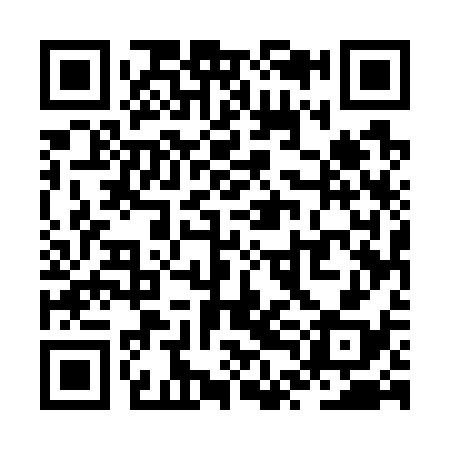 QR code for ZTE738