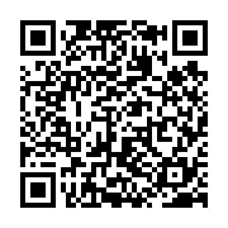 QR code for ZTG635