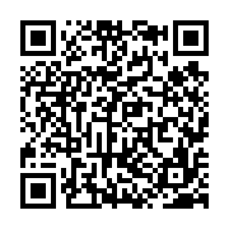 QR code for ZTN616