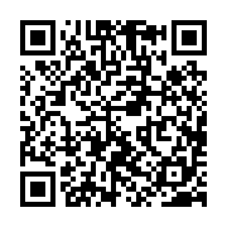 QR code for ZTP295