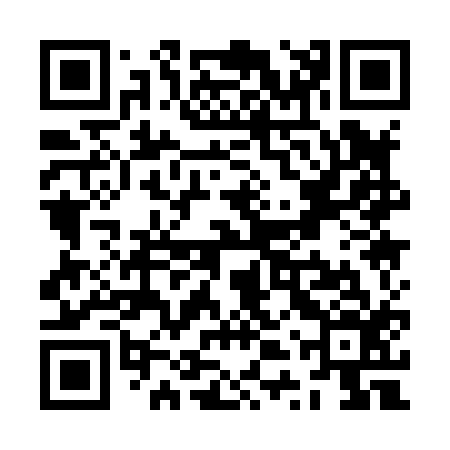 QR code for ZTQ816