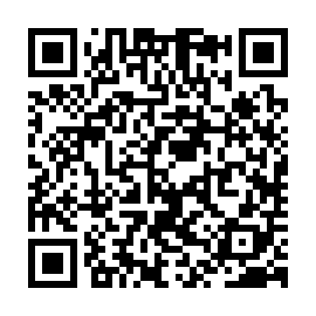 QR code for ZTR308