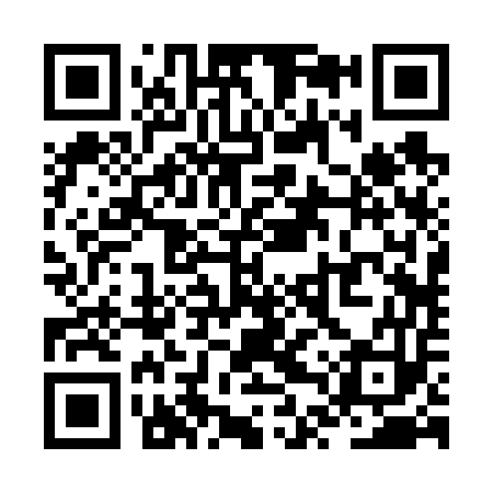 QR code for ZTR653