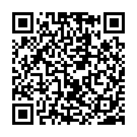 QR code for ZTS311