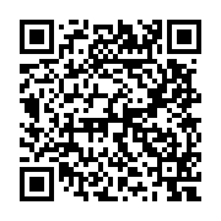 QR code for ZTS595