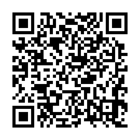 QR code for ZTT373
