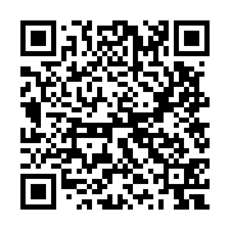 QR code for ZTW531
