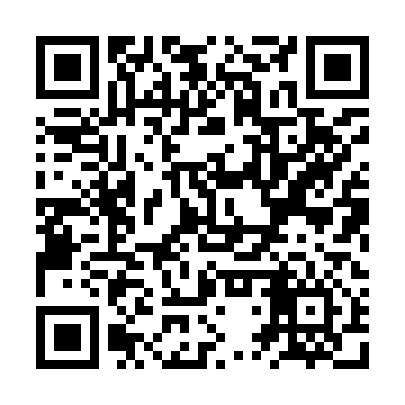QR code for ZTX916
