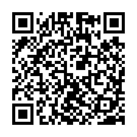 QR code for ZTZ689
