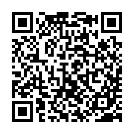 QR code for ZUB387