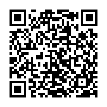 QR code for ZUI304