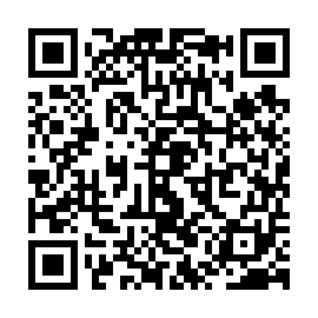 QR code for ZUI651