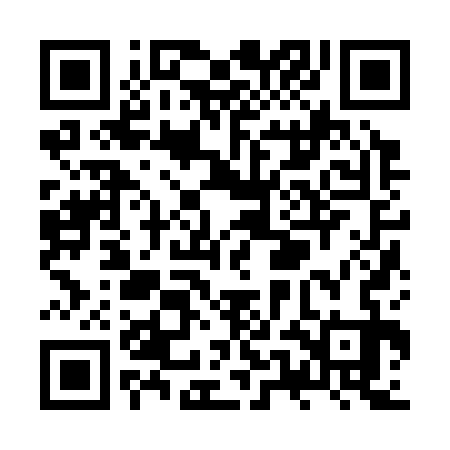 QR code for ZUJ333