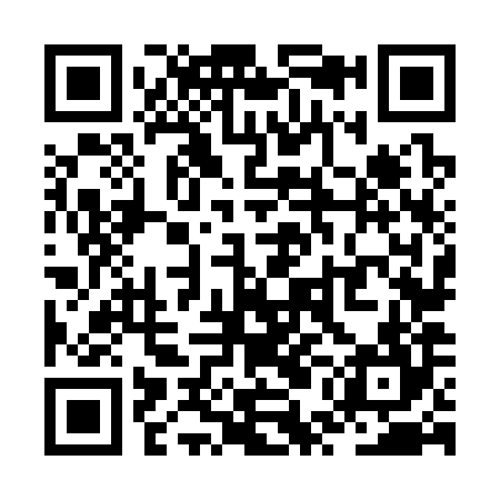QR code for ZUN384