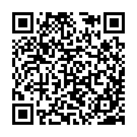 QR code for ZUR384