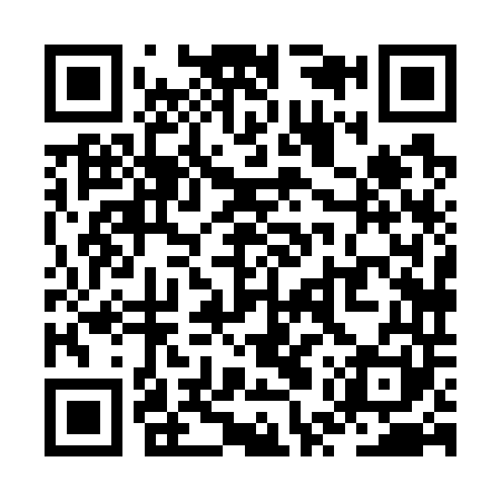 QR code for ZUX741