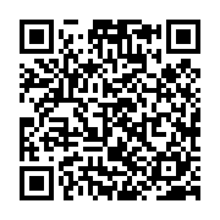 QR code for ZVH425