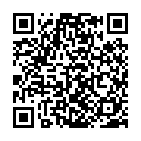 QR code for ZVI225