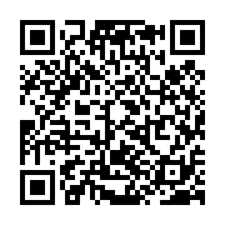 QR code for ZVM411