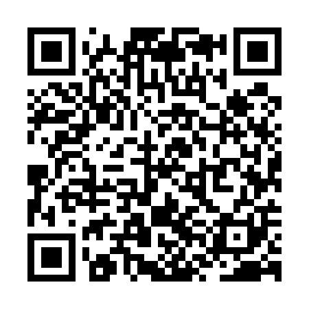 QR code for ZVM501