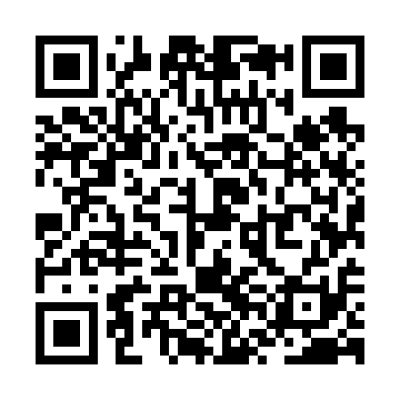 QR code for ZVM611