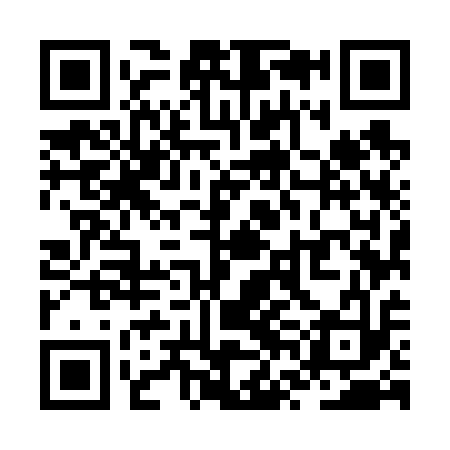 QR code for ZVM613