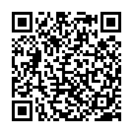 QR code for ZVU551