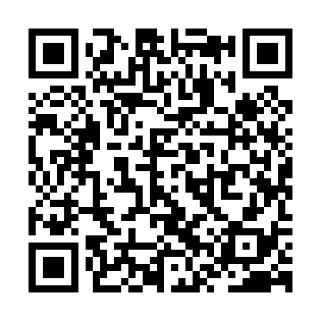 QR code for ZVY038