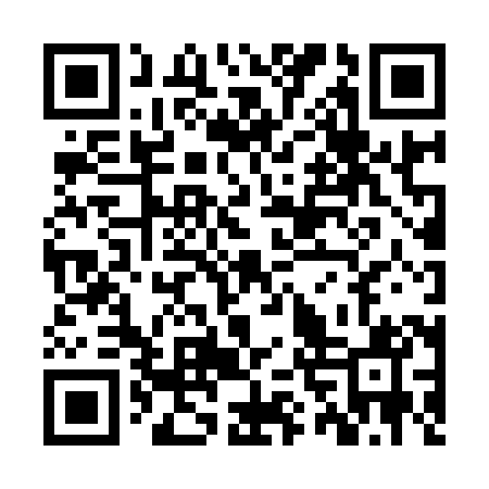 QR code for ZVZ981