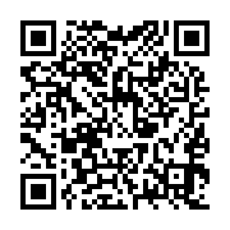 QR code for ZWF951