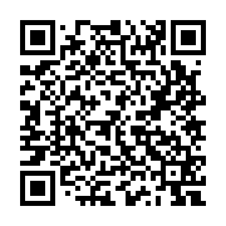 QR code for ZWJ161