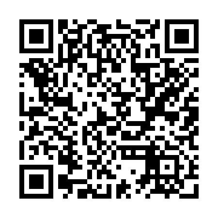 QR code for ZWM313