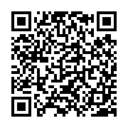 QR code for ZWS603