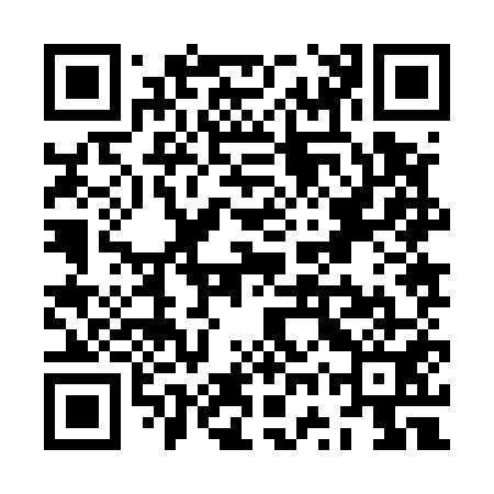 QR code for ZWZ551