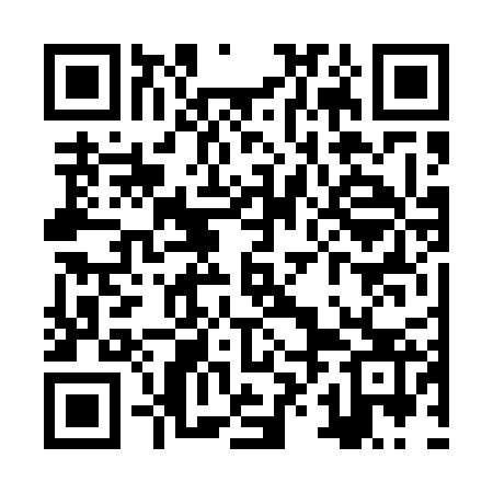 QR code for ZXF523