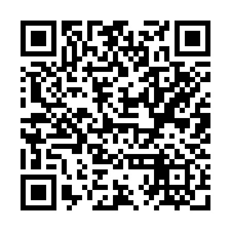 QR code for ZXI339