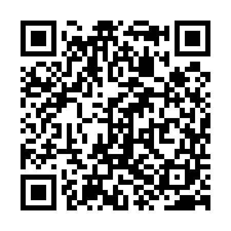 QR code for ZXI541