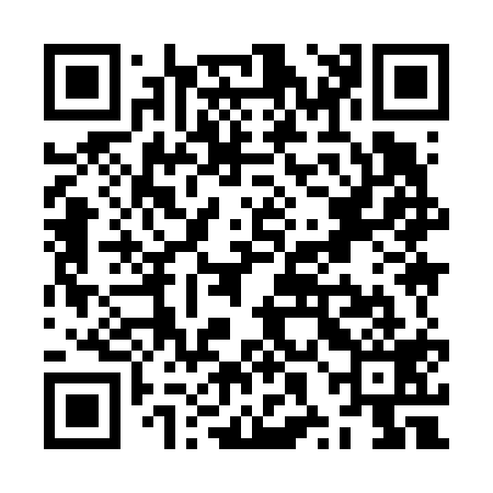 QR code for ZXI619