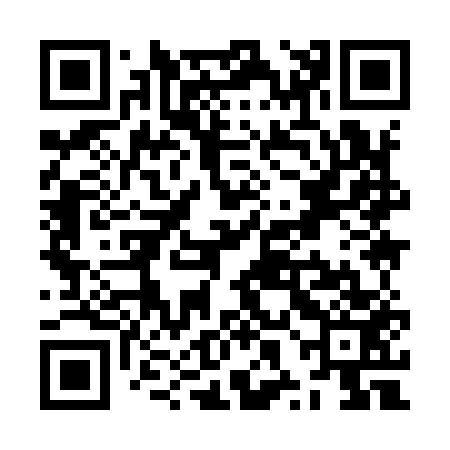 QR code for ZXI953