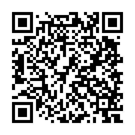 QR code for ZXJ486