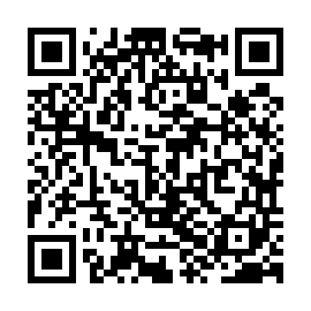 QR code for ZXJ541