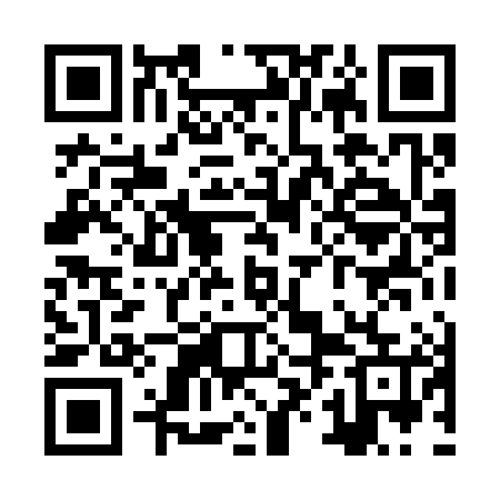 QR code for ZXL385
