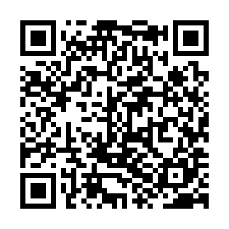 QR code for ZXM385