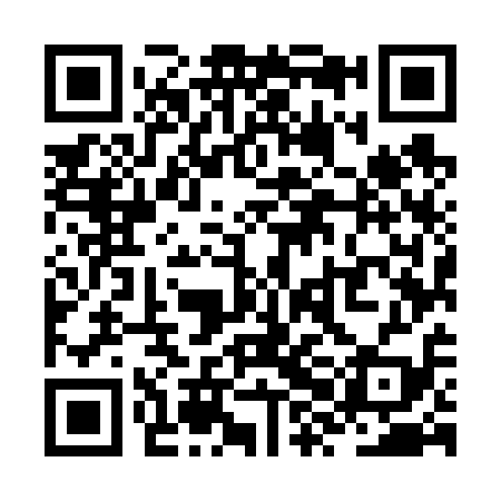 QR code for ZXM619