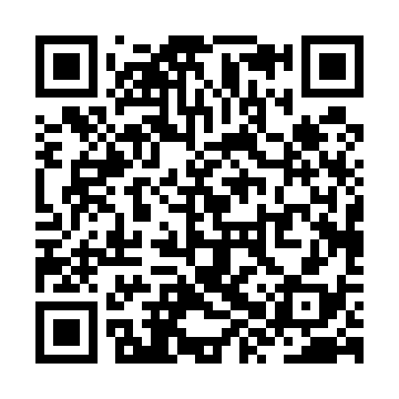 QR code for ZXP538