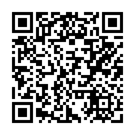QR code for ZXR419