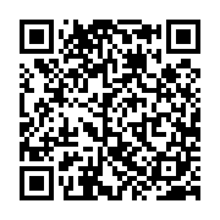 QR code for ZXT541