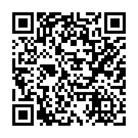 QR code for ZXT956