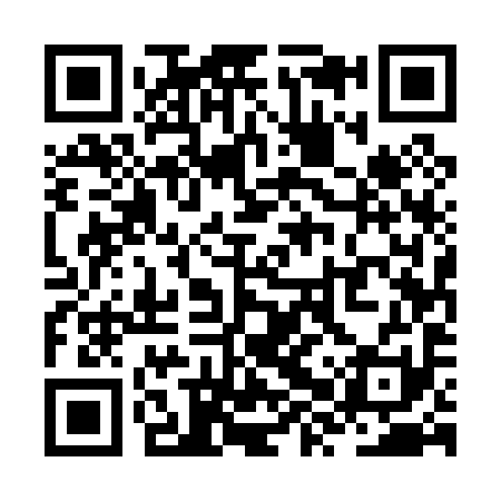 QR code for ZXU091