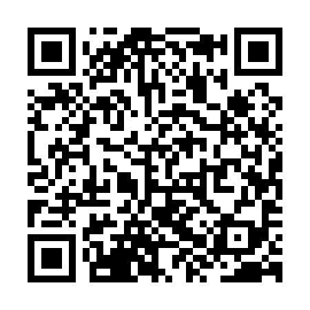 QR code for ZXU199